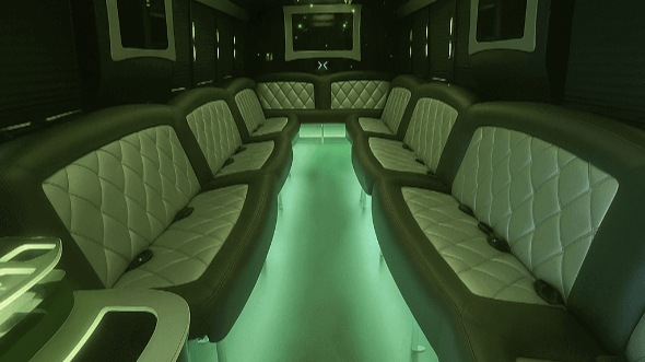 arlington 20 passenger party bus