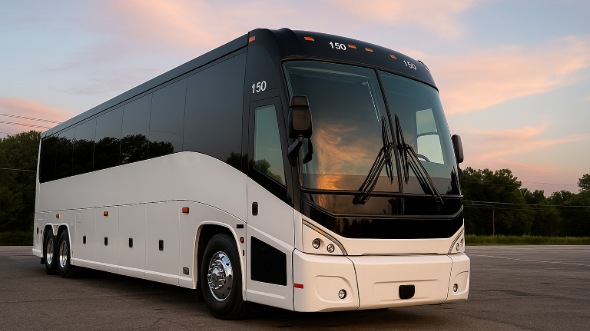 washington bachelor and bachelorette party bus rentals